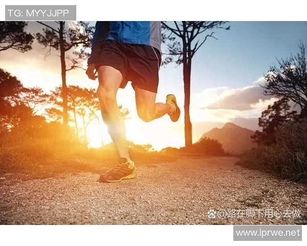 体育文化的传承与创新：打造健康社会的精神支柱与行动力量